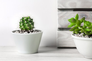 A desk against a white empty wall with a cactuses in a ceramic pots