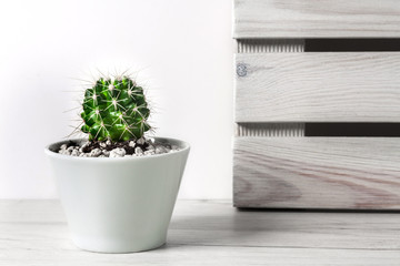 A desk against a white empty wall with natural wooden boards and a cactus in a ceramic pot