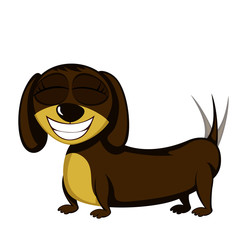 Little dog - Lovely little dachshund (happy girl)