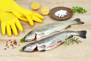 Fresh raw trout fish 