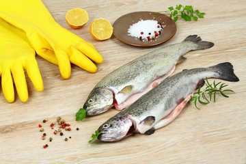 Fresh raw trout fish 
