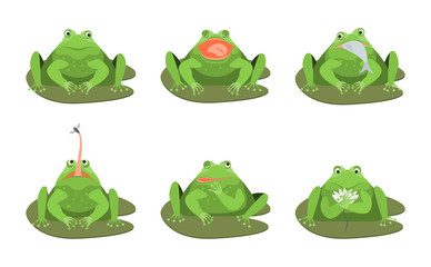 Cartoon Cute Green Frogs Characters Icon Set. Vector