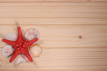 Seashells and starfish on a wooden background - 197240649