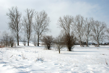 Fototapeta na wymiar durch den Schnee