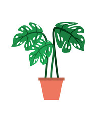 tropical palm in pot interior decoration vector illustration