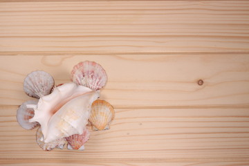 Seashells and starfish on a wooden background - 197242261