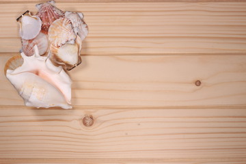 Seashells and starfish on a wooden background - 197242274