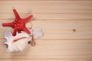 Seashells and starfish on a wooden background - 197242290
