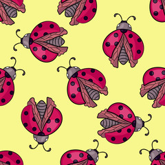 Cartoon ladybug. Red insect