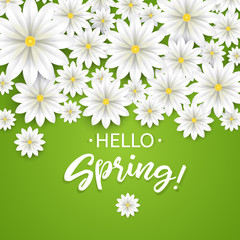 Hello Spring.Hand lettering with white flowers border.Paper chamomile on green background. Vector illustration.