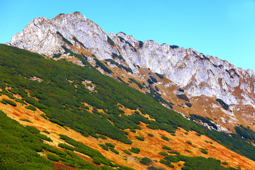 Poland, Tatra Mountains, Zakopane - south slope of Dlugi Giewont and Wielki Uplaz peaks