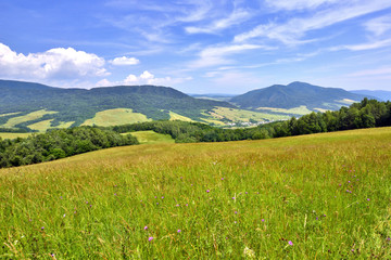Summer  landscape with green field against a blue sky with clouds.