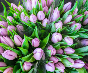 Fototapeta premium Assortment of bouquets of colorful tulips in a flower shop