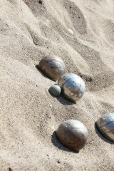 Balls for playing bocce on the sand