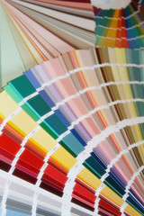 Veer Pantone colors to paint. Many different colors