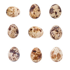 collection of quail eggs isolated on white background.