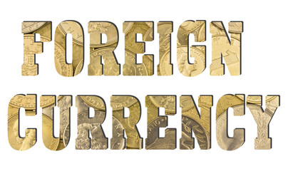 foreign currency, 