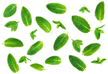 Fresh mint leaves pattern isolated on white background, top view. Close up of peppermint, lemon balm.