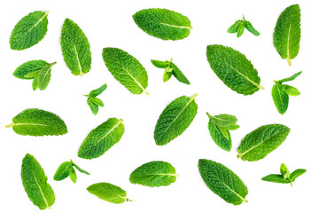 Fresh mint leaves pattern isolated on white background, top view. Close up of peppermint, lemon...