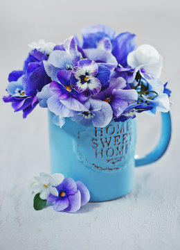 Photo of a beautiful purple pansy flowers close-up in a blue mug on a light background. Beautiful and delicate flowers.