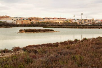 Wetlands of Santa Pola