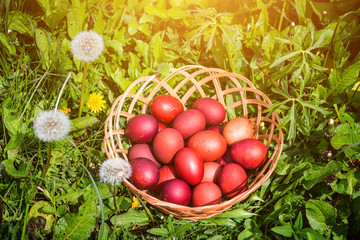 Fototapeta na wymiar Red easter eggs on the grass with flowers and blowballs, naturally colored easter eggs with onion husks. Happy Easter, Christian religious holiday.