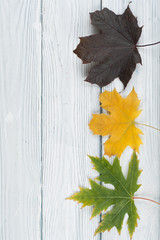 Obraz premium Colorful autumn leaves on wooden background, Copy space for text. Top view.
