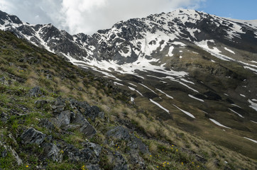 Summer day in Caucasus mountains at Tusheti, Georgia. Hills covered with grass  on the foreground. Mountain range partially covered with snow on the background.