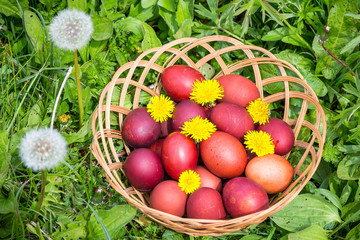 Colorful easter eggs in basket. Happy Easter, Christian religious holiday.