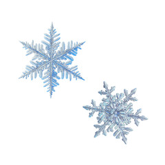 Two snowflakes isolated on white background. Macro photo of real snow crystals: large stellar...