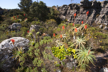 la natura a god's window