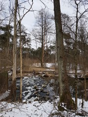 Rzeka w lesie © michalsen