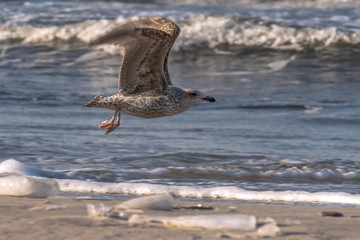 The skyline of the banking metropolis in Frankfurt am Main during the blue hour. Frankfurt, Germany / 26 February 201