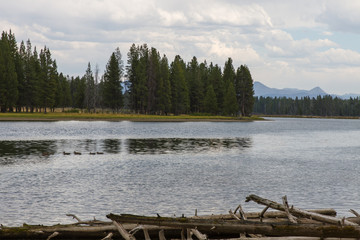 Yellowstone River 3