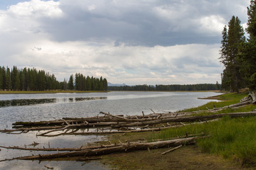 Yellowstone River 4