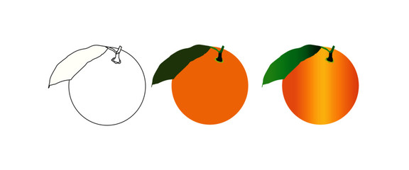 Orange vector set