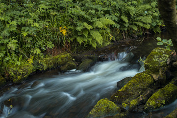 Flowing water turned milky white by a long exposure as it flows around green and brown moss covered rocks.