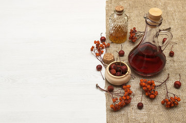 Herbal medicine. Alternative medicine concept. Dry organic natural ingridients. Wild berry and and medicinal tincture on white background with copy space.