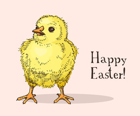 Hand drawn easter gift card with little chick. Greate holiday doodle vintage illustration with funny yellow bird