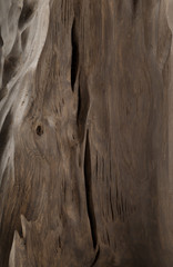 Old piece of wood on a white background, wood texture
