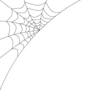 cobweb pattern- vector illustration