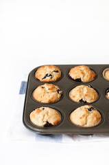 Muffin pan or tin with freshly baked blueberry cupcakes for mother's day, a birthday party or tea time on white background