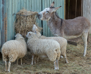 Fototapeta premium Common Ground