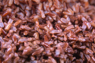 Red wild rice closeup is ready for eat
