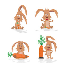 Illustration of four rabbits with carrot on a white background
