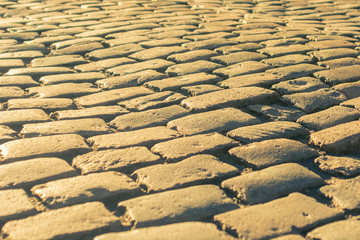 old cobblestones in golden hour