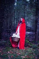 CHAPERON ROUGE CAPE SAMOYEDE CHIEN CHIOTS CONTE DE FEE FORET NEIGE