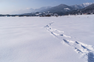 Spuren im Schnee