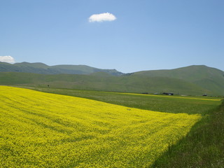 castelluccio di norcia