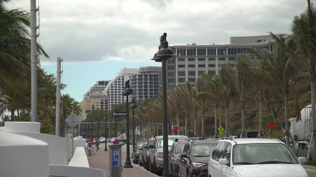 Palm trees and lampposts along a street